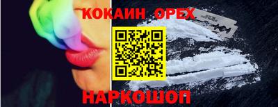 крисы Кулебаки