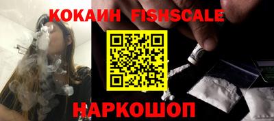 крисы Кулебаки