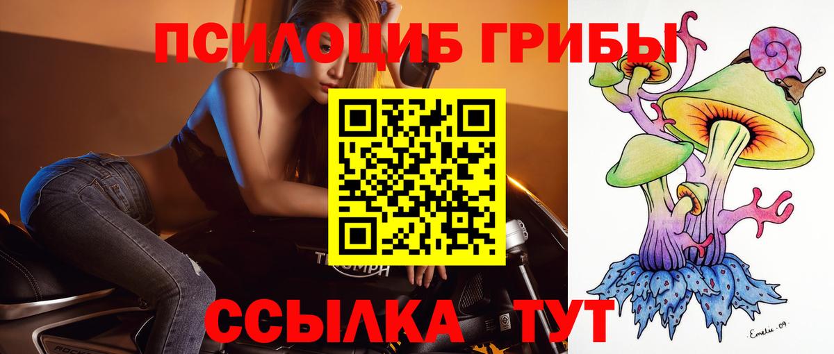 Кингисепп  Галлюциногенные грибы мицелий  Вход с VPN 